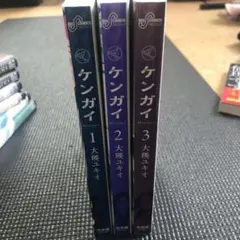ケンガイ　３巻セット