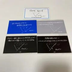 229 straykids チャンビン