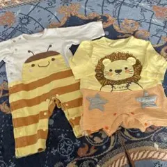 Item thumbnail for item 06cebe15-9299-460b-b952-98cb95209f69