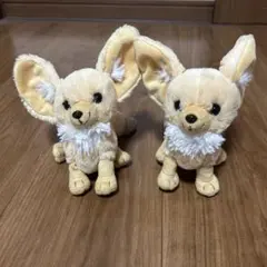 フェネック ぬいぐるみ 2点セット アクアマリンふくしま