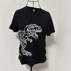 恐竜　立体画像子供服　150センチ　ブラックTシャツ　男女兼用　シーインのサムネイル