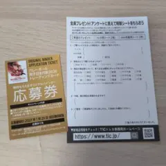 バレーボール男子日本代表2026 応募券 アンケートハガキ