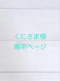 くにさま様専用 S-163薔薇メインリース ワイヤークラフト