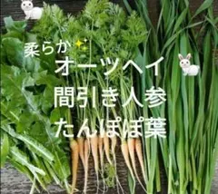 生牧草オーツヘイ✨間引き人参　たんぽぽの葉っぱ　小動物おやつ　ネコポス③のサムネイル