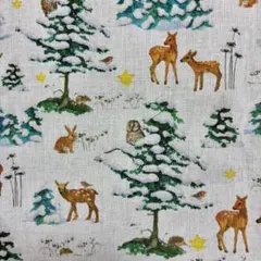 アクファクトゥム