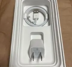 iPhone純正イヤホン付属品　充電器セット