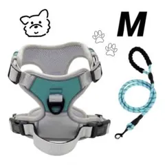 新品 犬用ハーネス&リードセット ターコイズグリーン 小型犬 中型犬 散歩 M