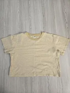 UNIQLO ストライプ クロップドTシャツ M