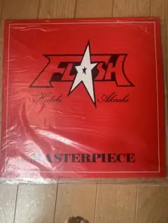 FLASH /HIDEKI AKASHI 「MASTERPIECE」