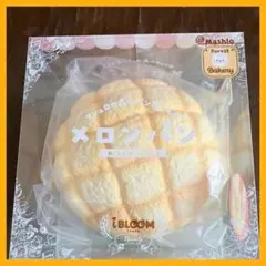 iBLOOM メロンパンクイーン スクイーズ - メルカリ
