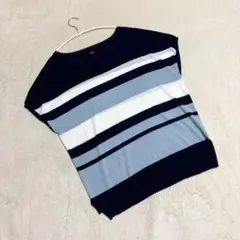 アズールバイマウジー ＊ トップス ニット ボーダー (L) フレンチスリーブ
