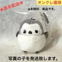 ゴールデンカムイ シマエナガぬいぐるみ 【白石由竹】 - メルカリ