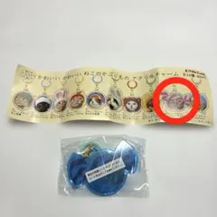 かわいいかわいいねこのかぶりもの　アクリルチャーム