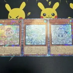 マルチャミープルリア マルチャミーニャルス マルチャミーフワロス 3枚セット