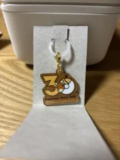 ポケモン 30周年 ロゴマスコット デデンネ めじるしアクセサリー