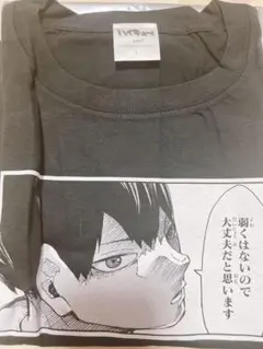 影山飛雄 キャラクターグッズ