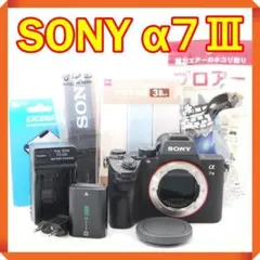 2026年最新】sony α7iii ボディ ilce-7m3の人気アイテム - メルカリ