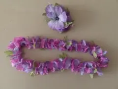 クリップレイ