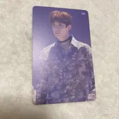 SEVENTEEN 舞い落ちる花びら HMV トレカ ドギョム