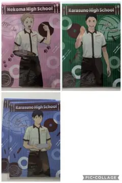 ココス　クリアファイル　ハイキュー