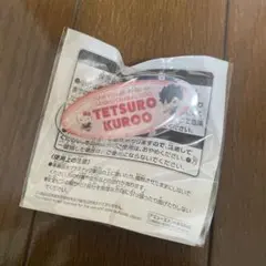 ハローキティ ご当地キティ 京都大学 京大 学者 2012 値付け