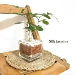 luxuryM様 リクエスト 2点 まとめ商品