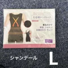 Item thumbnail for item e00513f7-51f3-449d-86aa-e2bdc58b025d