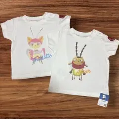 【インセクトコレクション】Tシャツ2枚組Charlotte & Amon