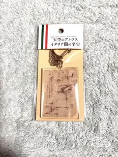 天空のアトラス イタリア館の至宝 レオナルド・ダ・ヴィンチ 牛革