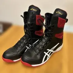 2026年最新】安全靴 アシックス asicsウィンジョブCP502の人気アイテム