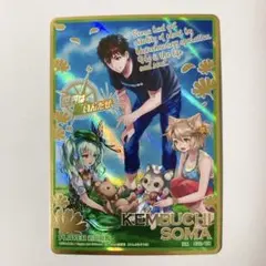 ゼクス Z/X 上柚木八千代 IGR B27-091 - メルカリ