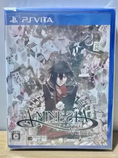 AMNESIA V Edition
