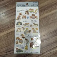 サザエさん様 リクエスト 2点 まとめ商品