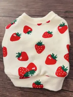 Item thumbnail for item 9512d442-7ac4-428e-b58b-fead85275fc9