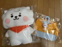 【BT21】 RJセット