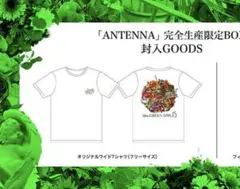 Mrs. GREEN APPLE ANTENNA 特典3点セット