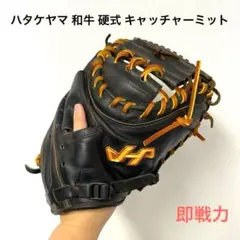 2025年最新】キャッチャー ミット ハタケヤマの人気アイテム