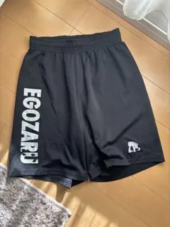 Item thumbnail for item 77dc6593-f47d-4f17-b729-d869a6667498