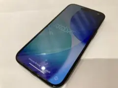 ⭐️美品⭐️iPhone15 ブラック 256GB simフリー