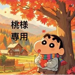 桃様 リクエスト 2点 まとめ商品