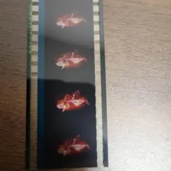 劇場版ガンダムSEED FREEDOM  第3弾 特典 フィルム