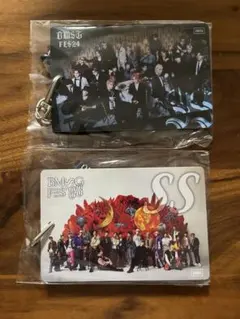 Item thumbnail for item 11484ae9-cf27-49c8-9918-c777a9d5ea7f