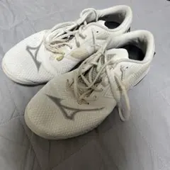 Item thumbnail for item 882b3001-7d0e-45ca-a313-d45949e3e299