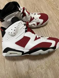 Nike Air Jordan 6 Carmine スニーカーのサムネイル