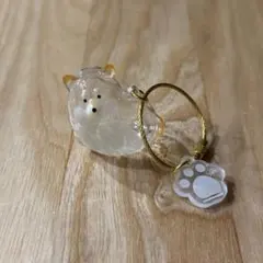 うちの子　けだまだま　柴犬