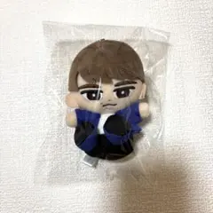 Snow Man 渡辺翔太　すのチル　ぬいぐるみ