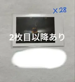 いれいす チェキ風トレカ