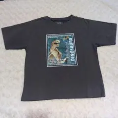 GLOBAL WORK 恐竜プリントTシャツ 120cm