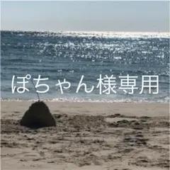 ぽちゃん様専用 ハンドメイド