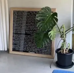 2026年最新】YURIKA akutsu バンダナの人気アイテム - メルカリ